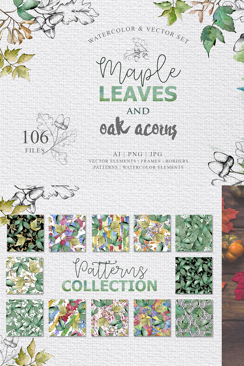 Maple Leaves and Oak Acorns Set - Illustration