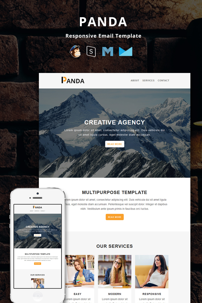 Panda - Corporate Responsive Email Newsletter Template