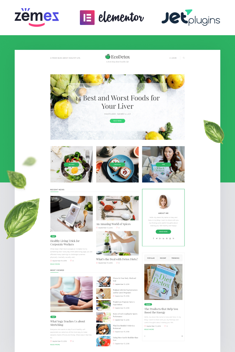 EcoDex - Fresh Food Blog Website For Healthy Lifestyle WordPress Theme