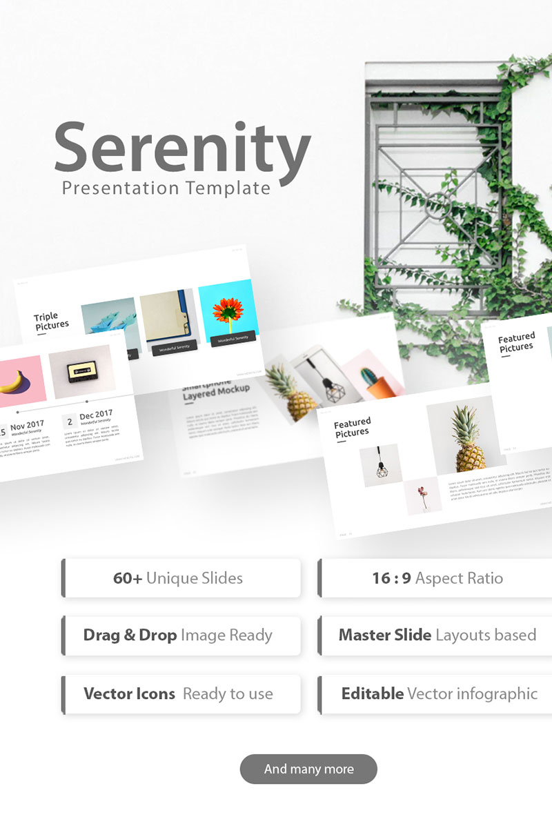 Serenity - Business PowerPoint template