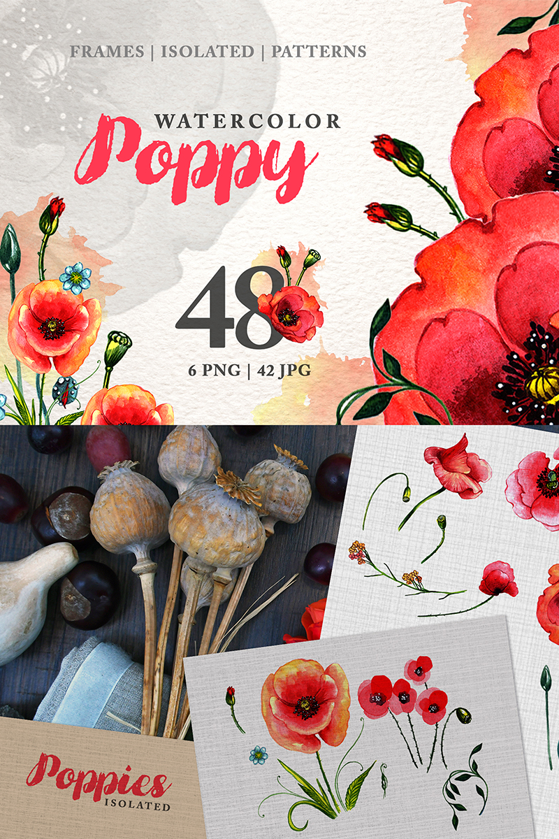 POPPY Watercolor Red Png - Illustration