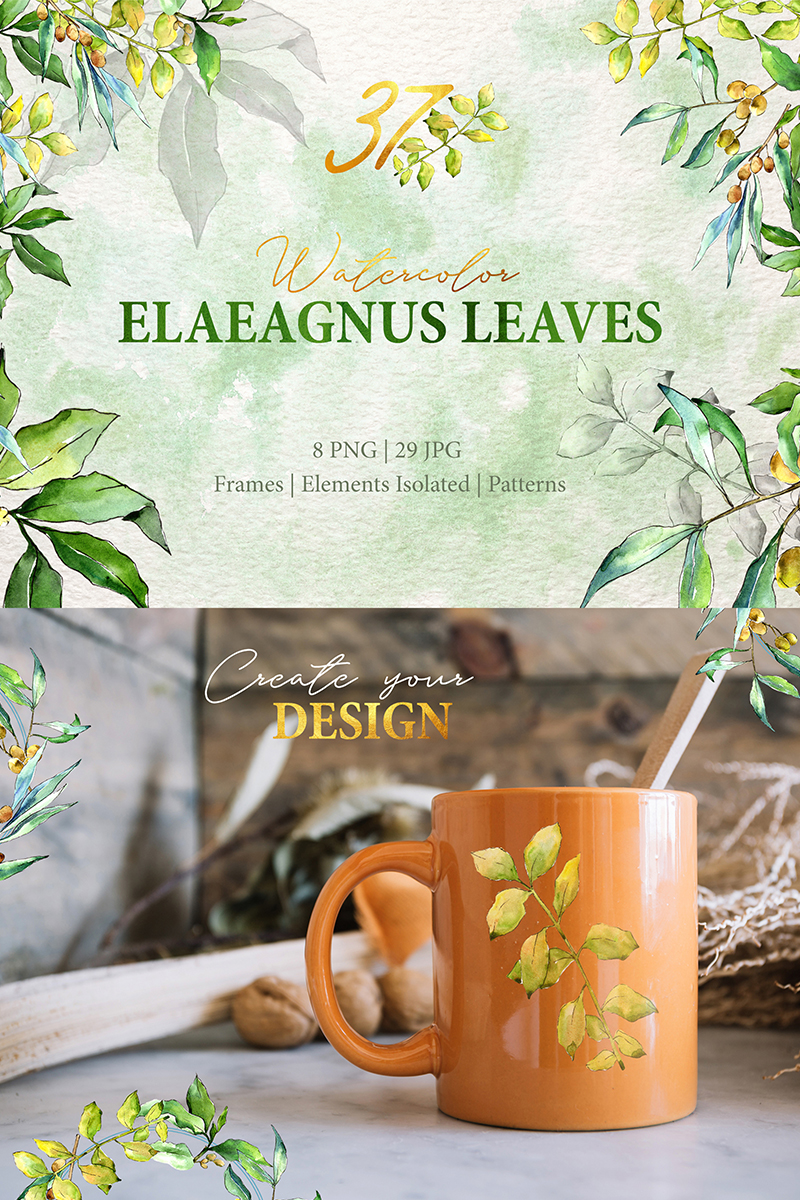 Watercolor Green Elaeagnus PNG - Illustration