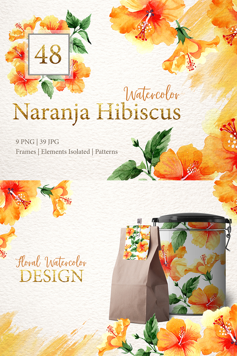Naranja Hibiscus Watercolor Png - Illustration