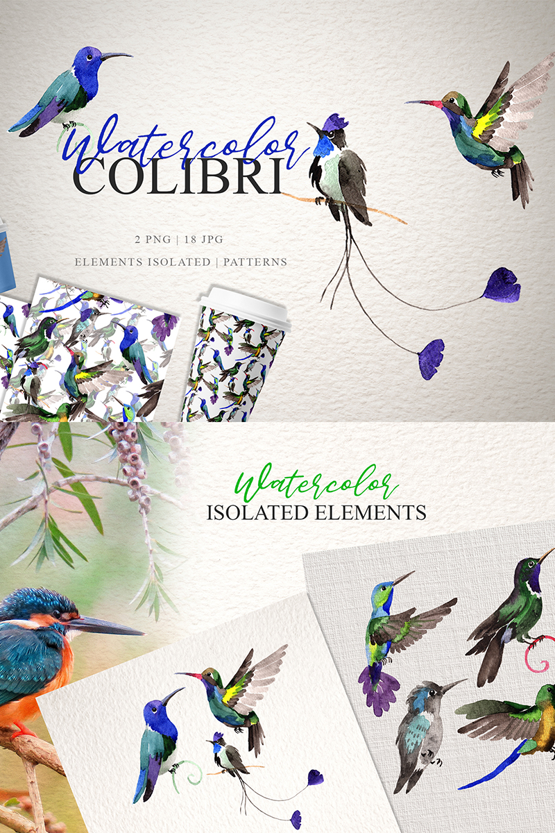Colibri Watercolor Png - Illustration