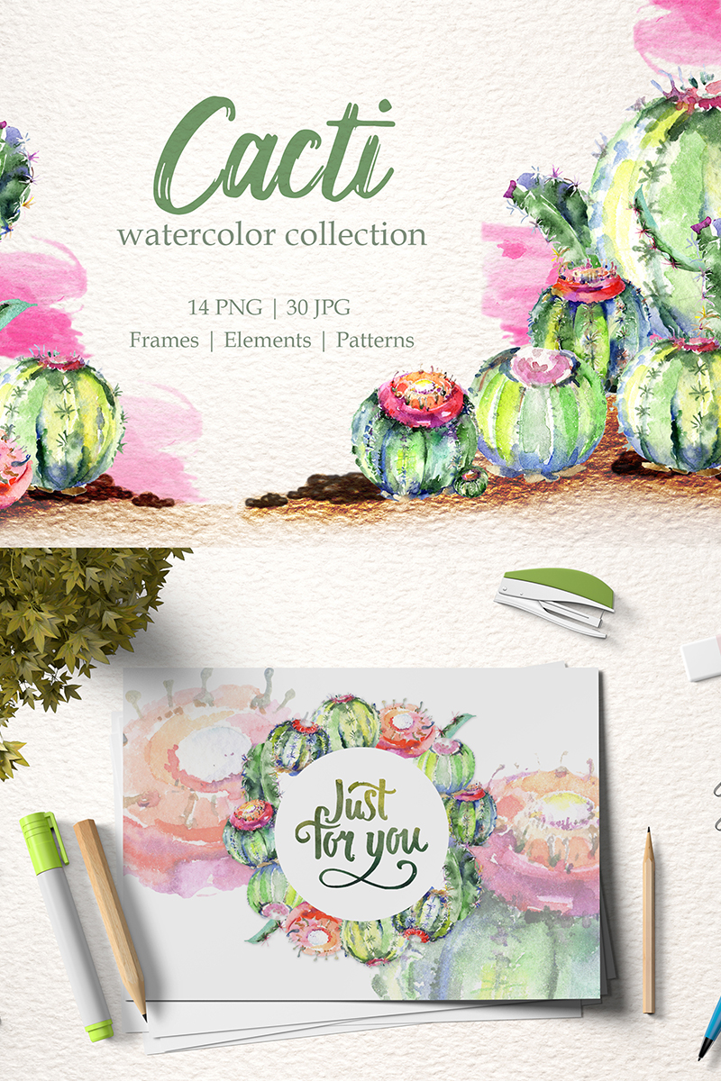 Cacti Watercolor Png - Illustration