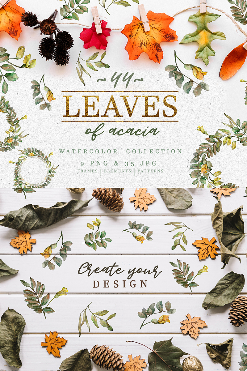 Leaves Of Acacia Watercolor Png - Illustration