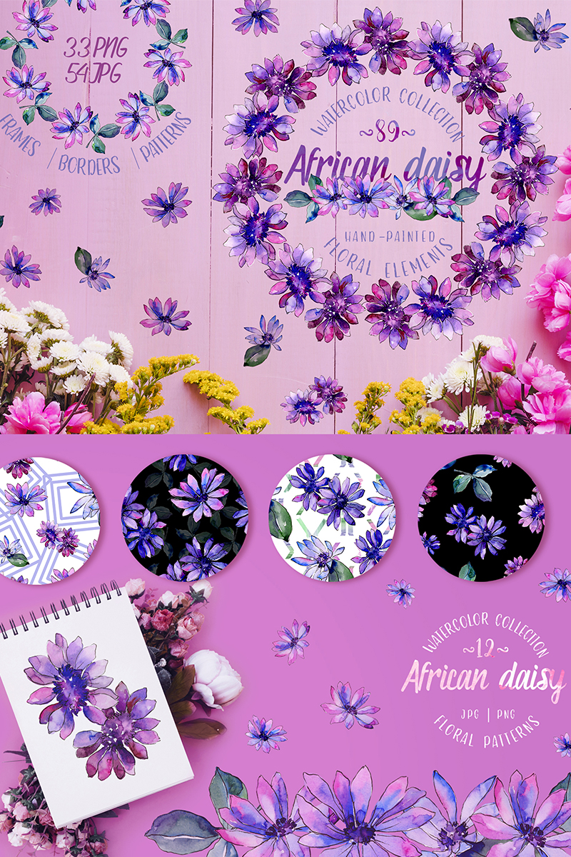 African Daisy Watercolor png - Illustration