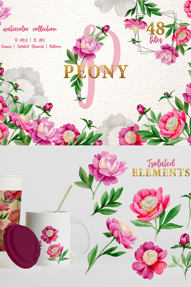 Pink Peony Tenderness Watercolor Png - Illustration