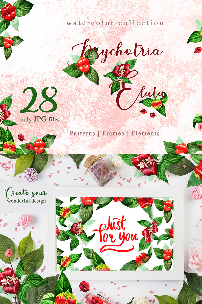 Psychotria Elata Watercolor Png - Illustration