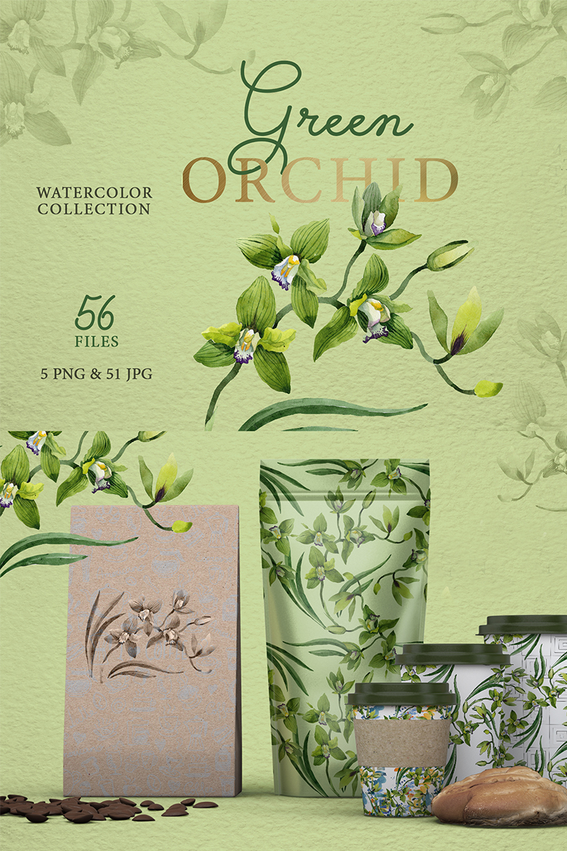 Green Orchid Watercolor png - Illustration