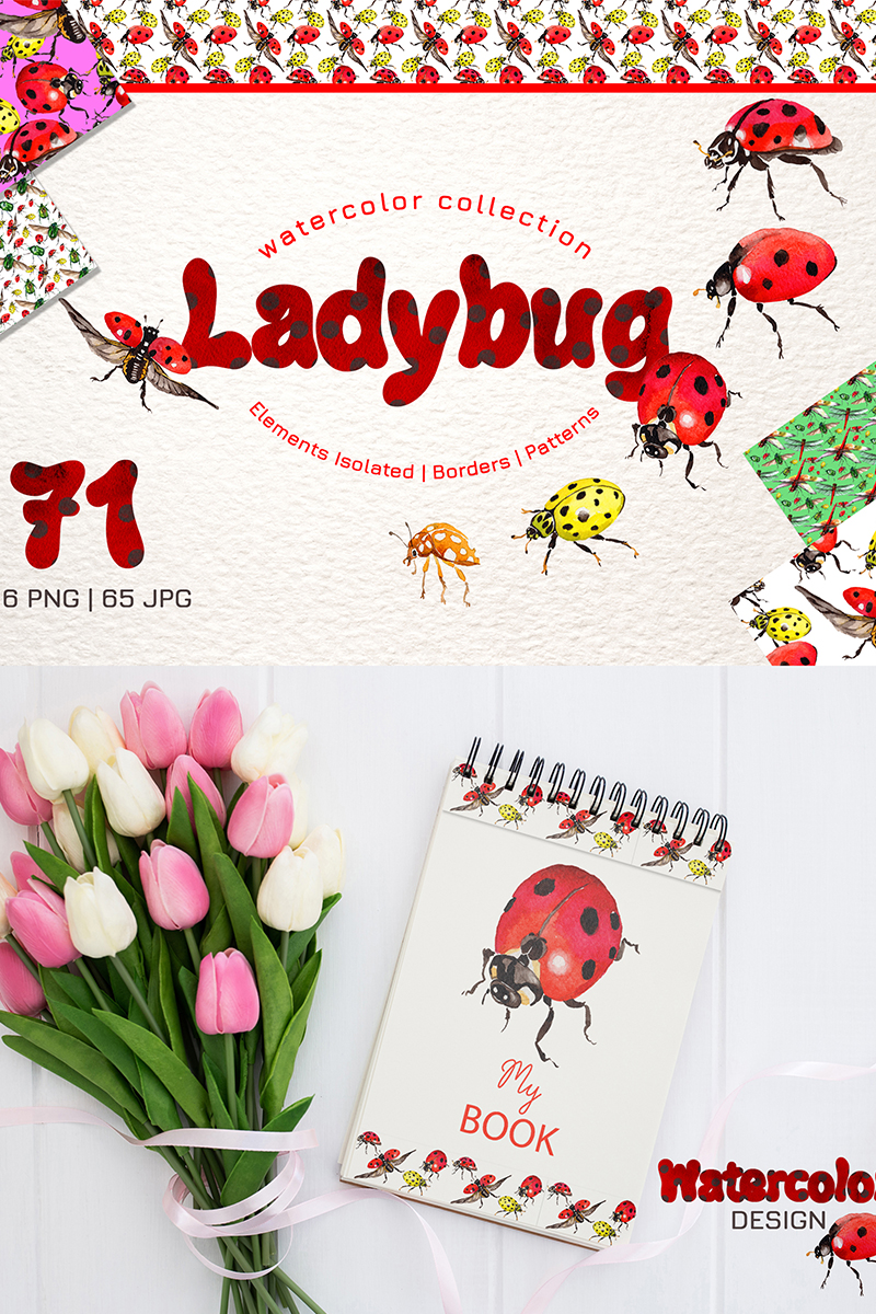 Ladybug Watercolor png - Illustration