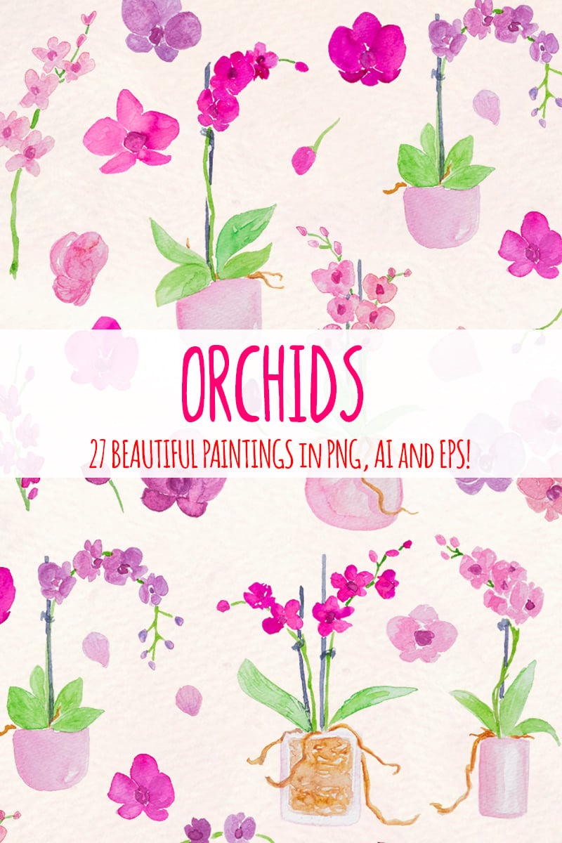 27 Lovely Orchid Flowers - Illustration
