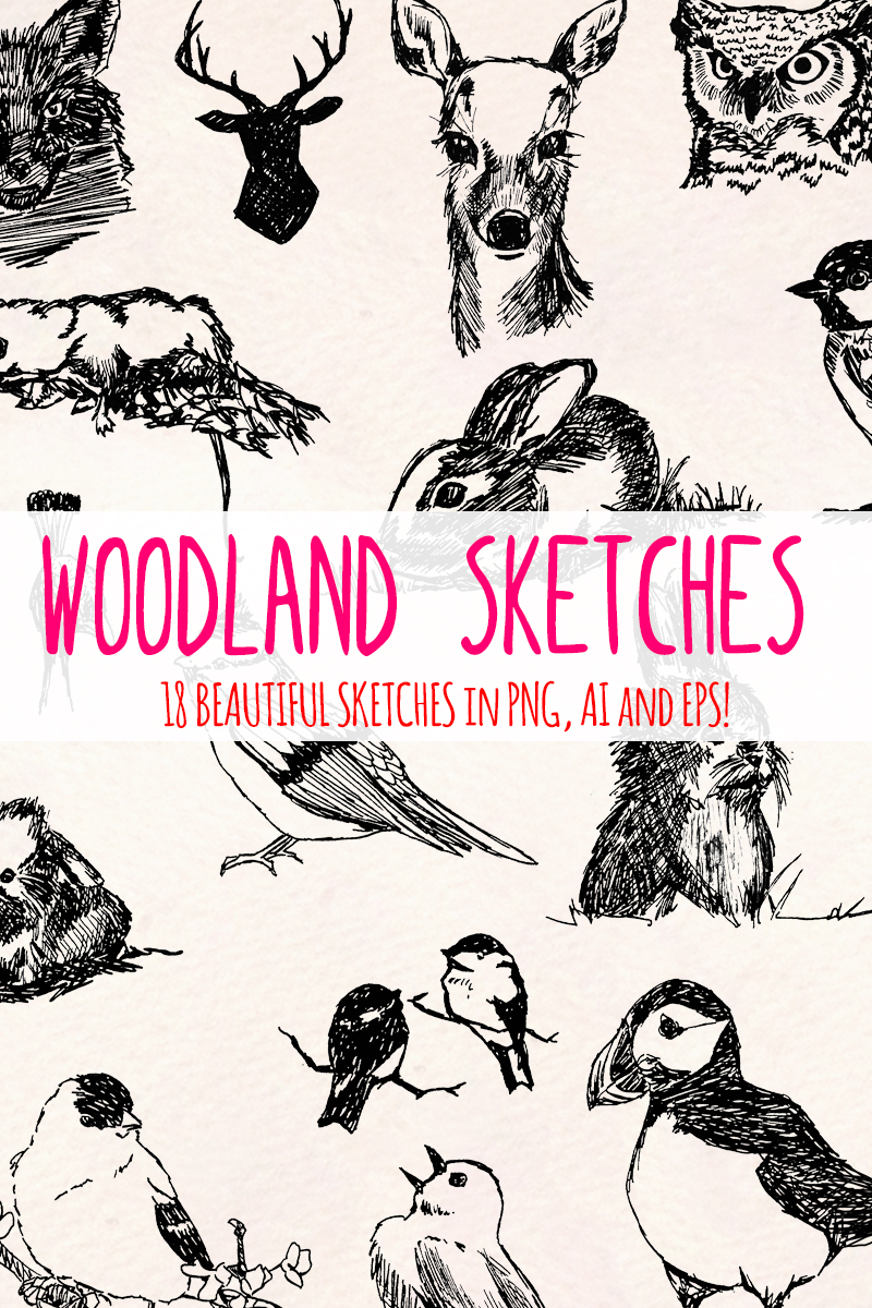 19 Forest Woodland - Illustration