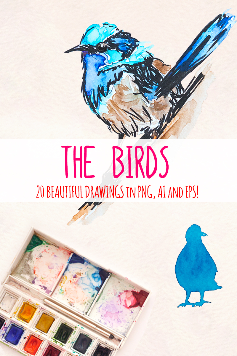 20 Colourful Watercolor Bird Graphics - Illustration
