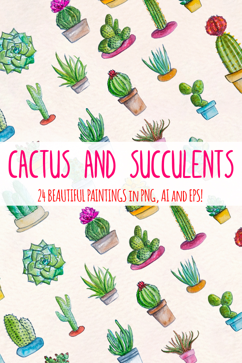 24 Cactus and Succulent - Illustration