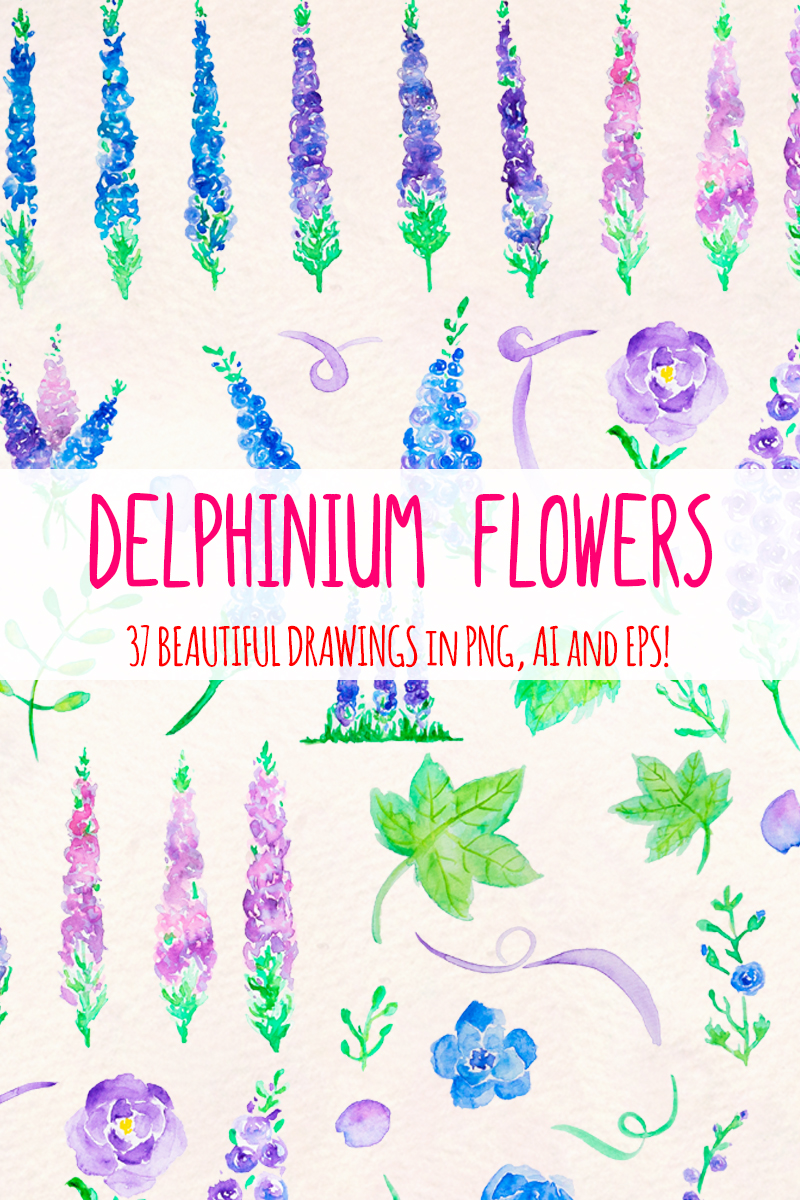 37 Larkspur Delphinium Flower - Illustration