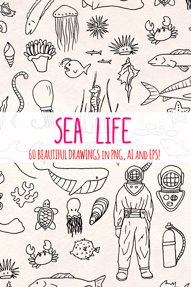 60 Sea and Ocean Creature - Illustration