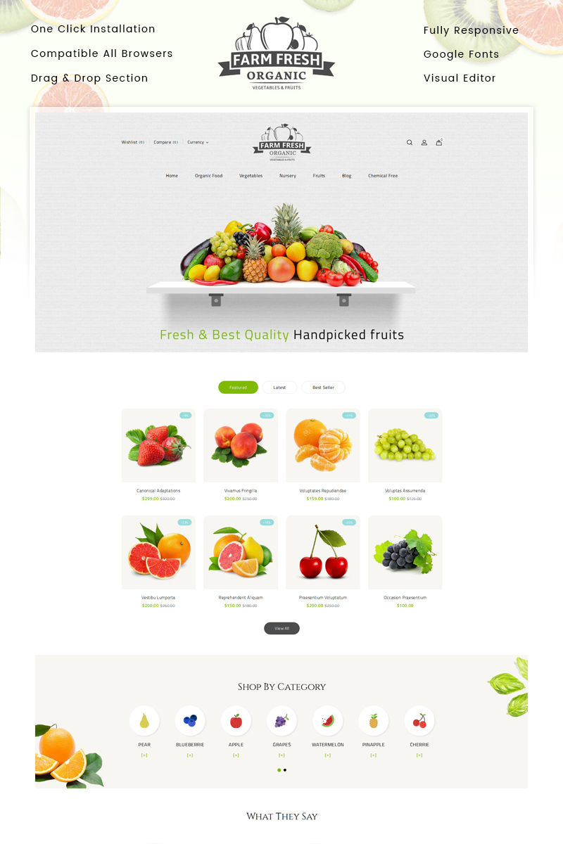 Organic Store Shopify Theme