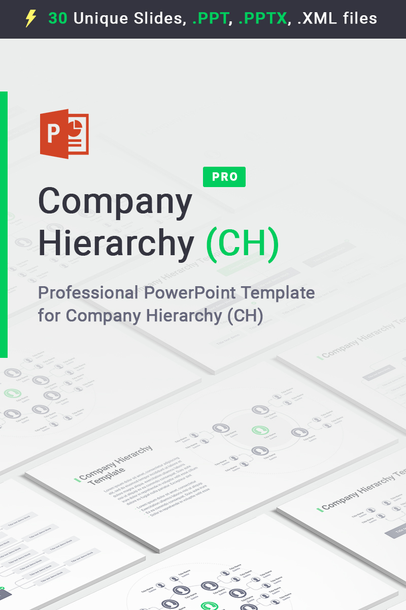 Company Hierarchy PowerPoint template