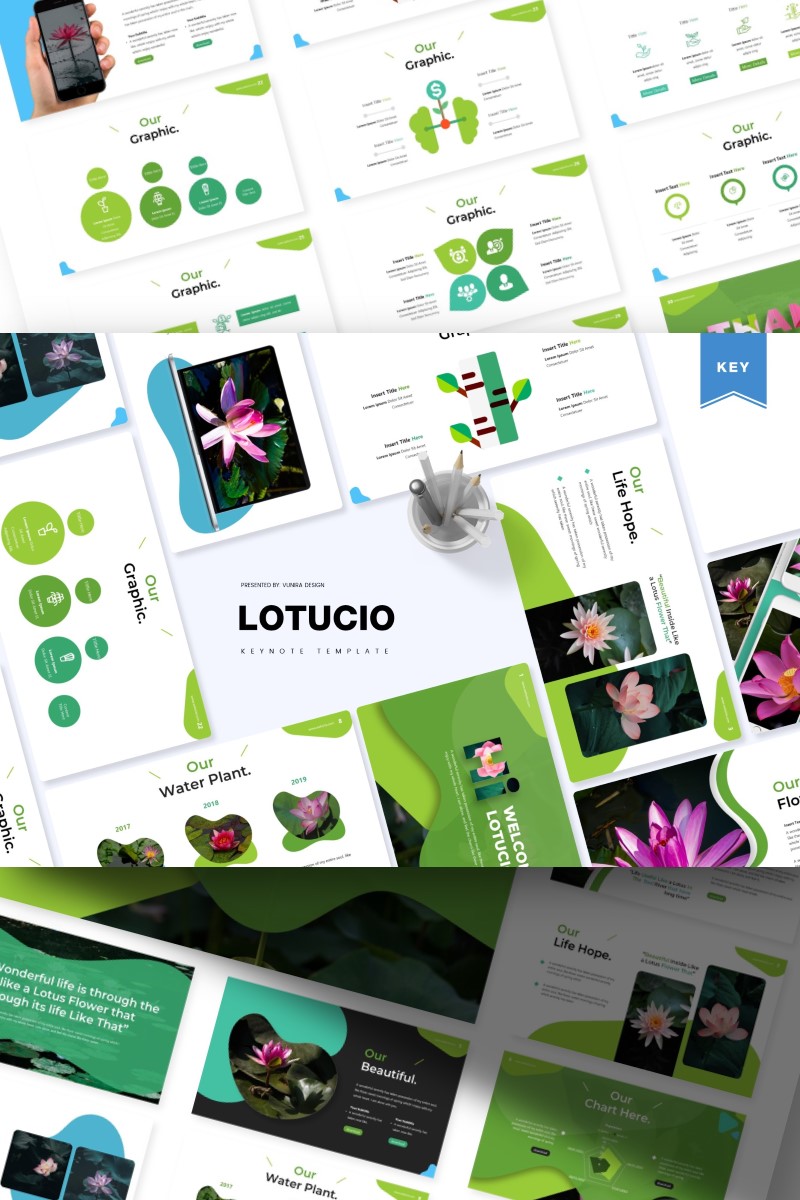 Lotucio - Keynote template