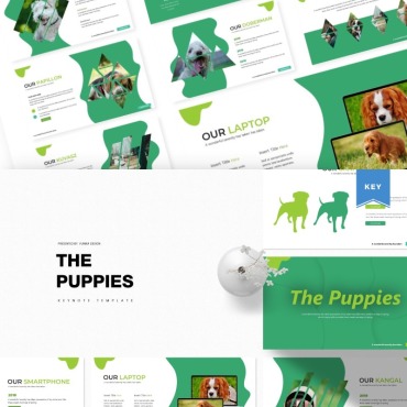 <a class=ContentLinkGreen href=/fr/kits_graphiques_templates_keynote.html>Keynote Templates</a></font> animal animal-de-compagnie 85547