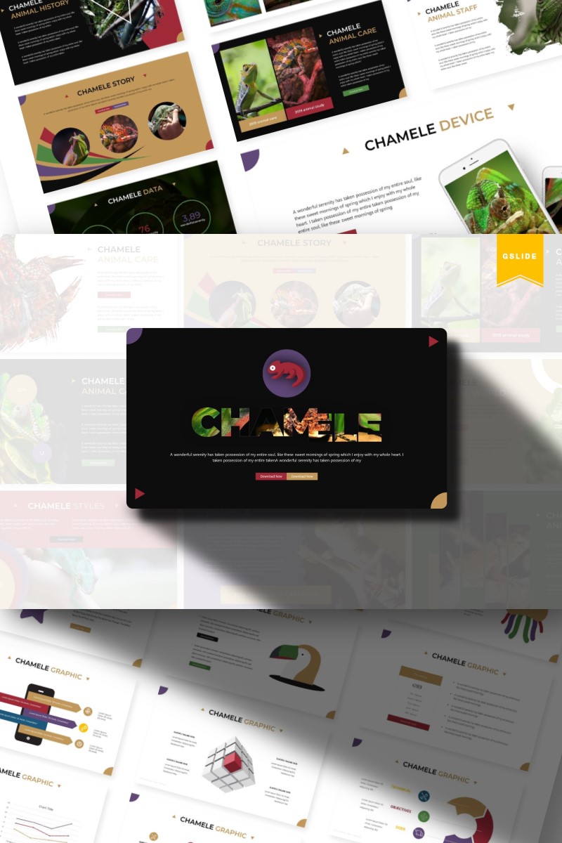 Chamele | Google Slides