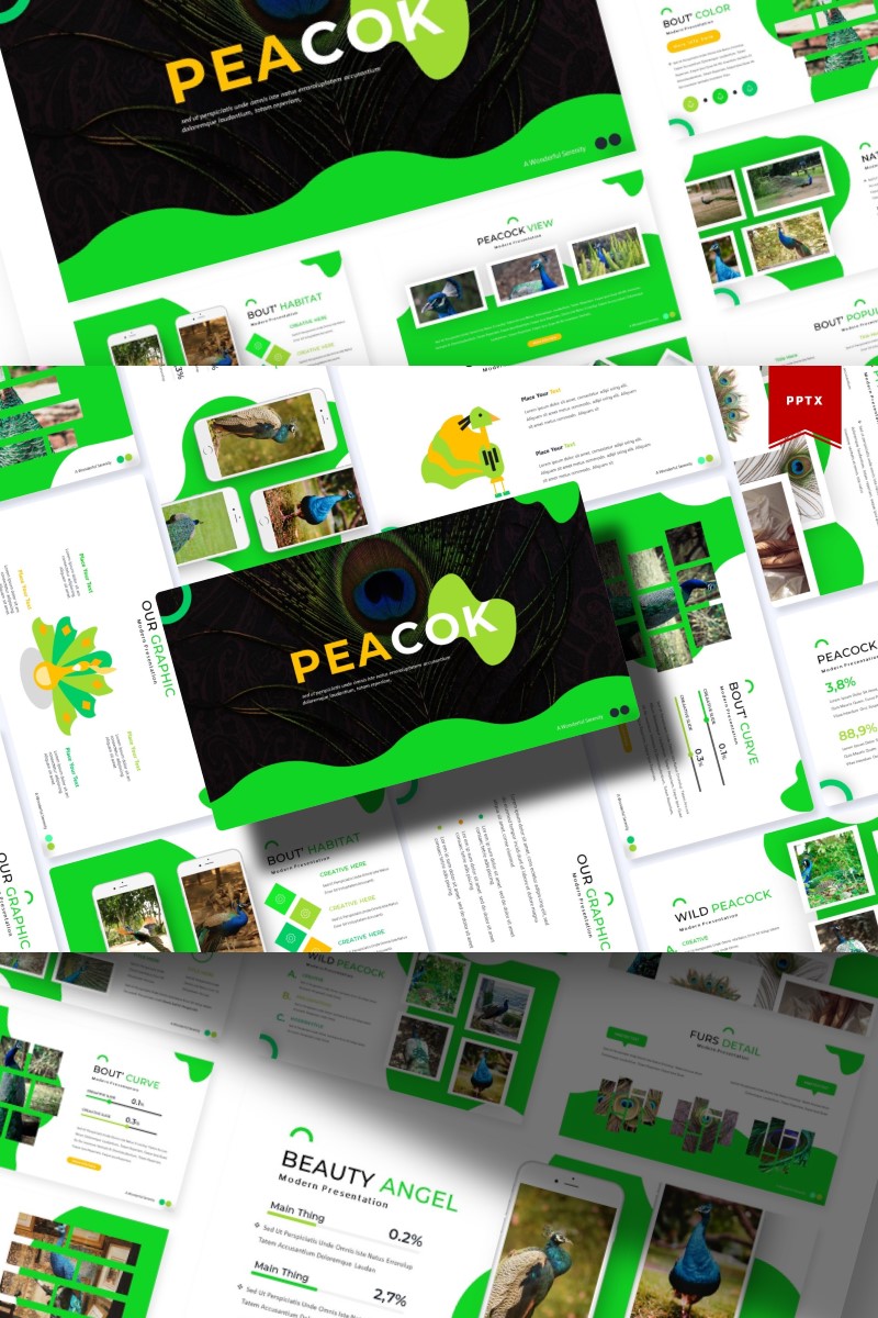 Peacok | PowerPoint template