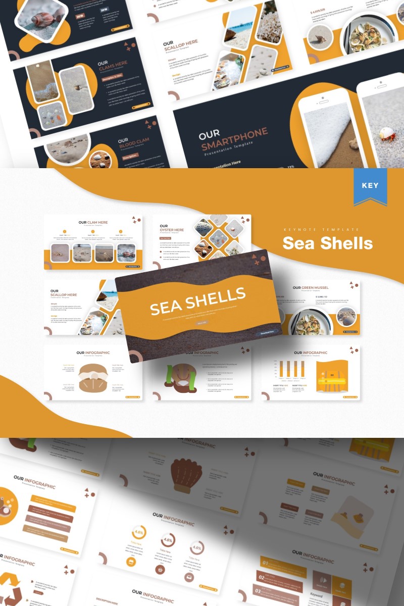 Sea Shells - Keynote template