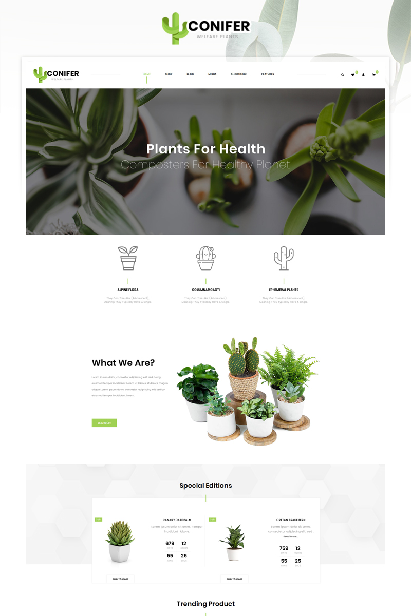 Conifer - Gardening Plant Store Elementor WooCommerce Responsive Theme