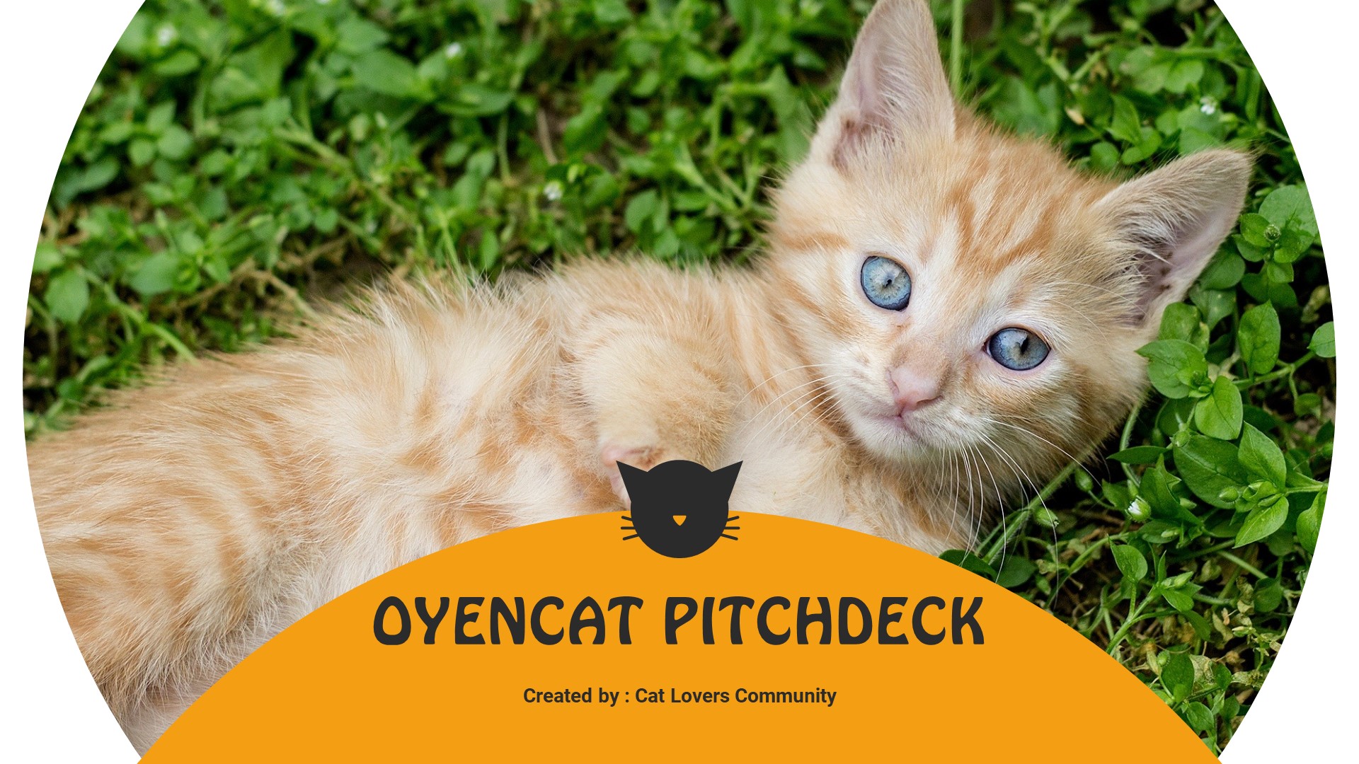 Oyencat - Creative Cat PowerPoint template