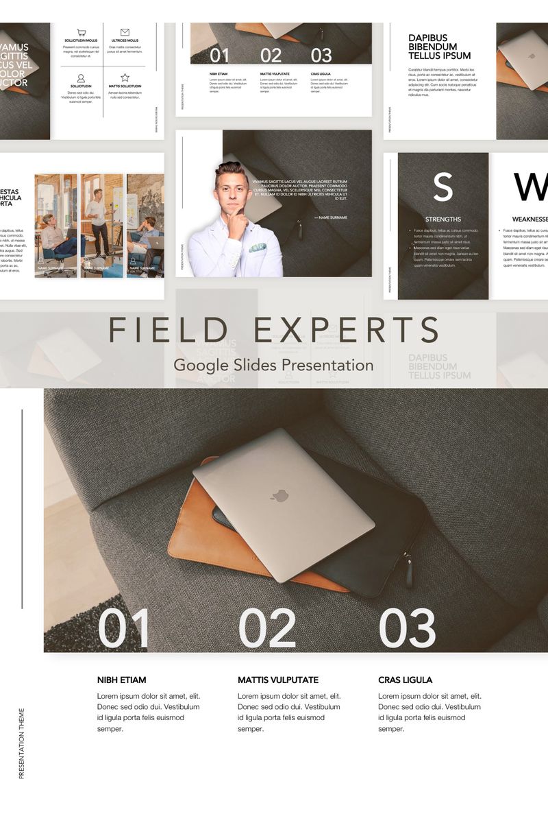 Field Expert Google Slides