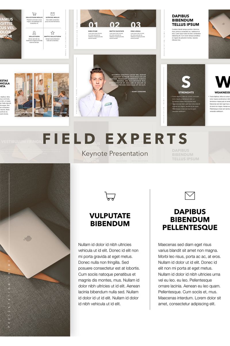 Field Expert - Keynote template