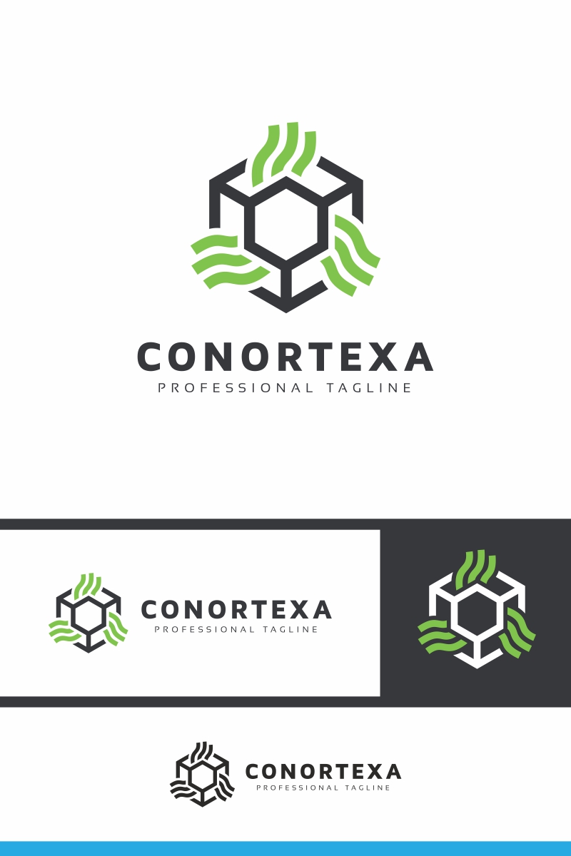 Conortexa Hexagon Logo Template