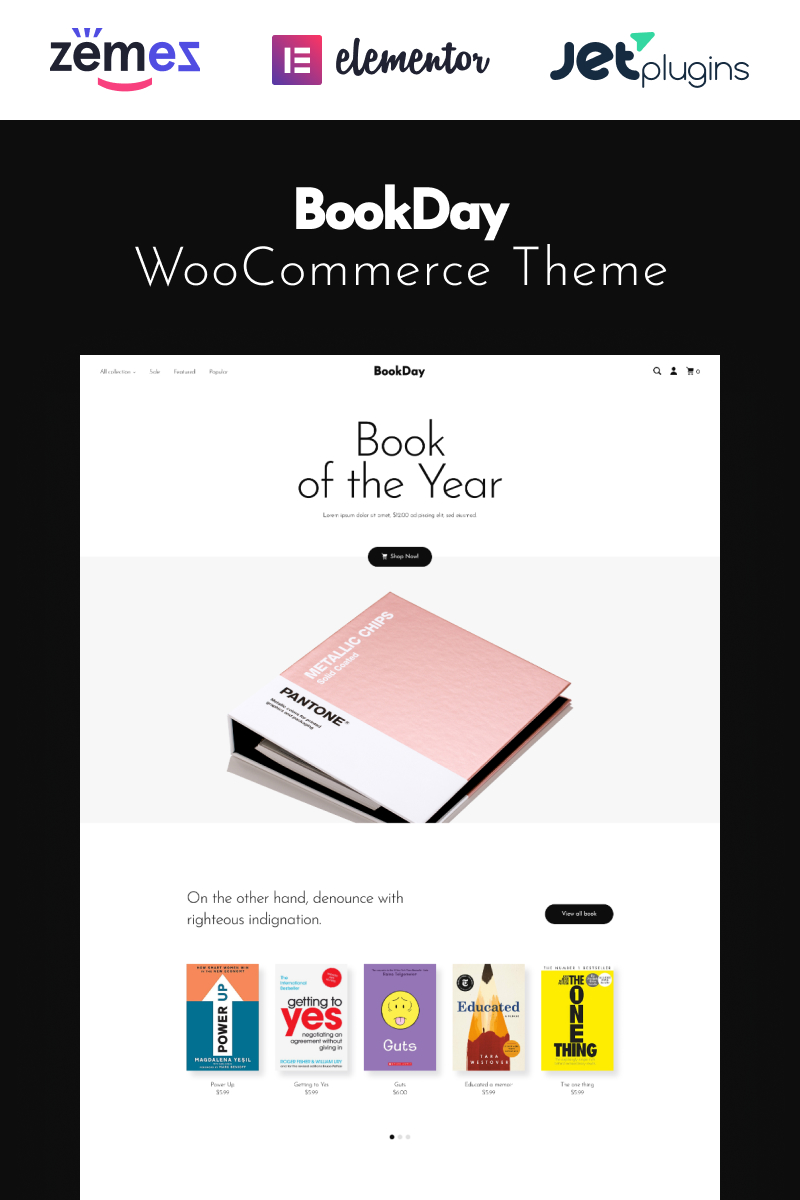 BookDay - Clean and Rapid Online Bookstore Website Design WooCommerce Theme