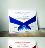 Certificate Templates 95086