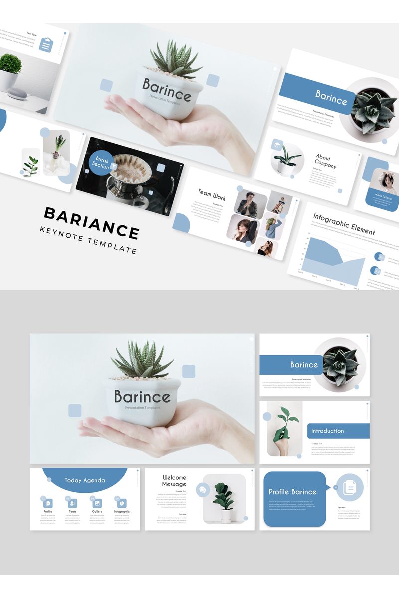 BARINCE - Keynote template