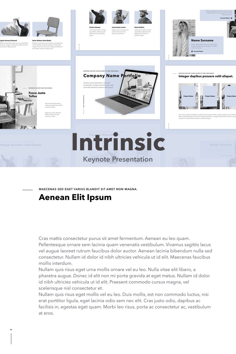 Intrinsic - Keynote template
