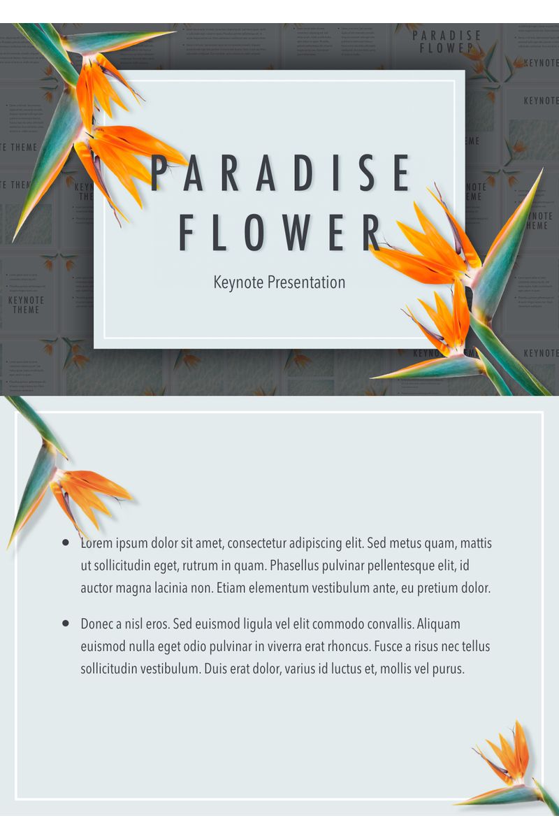 Paradise Flower - Keynote template