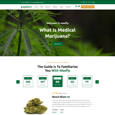 Marijuana Dispensary WordPress Themes 97395
