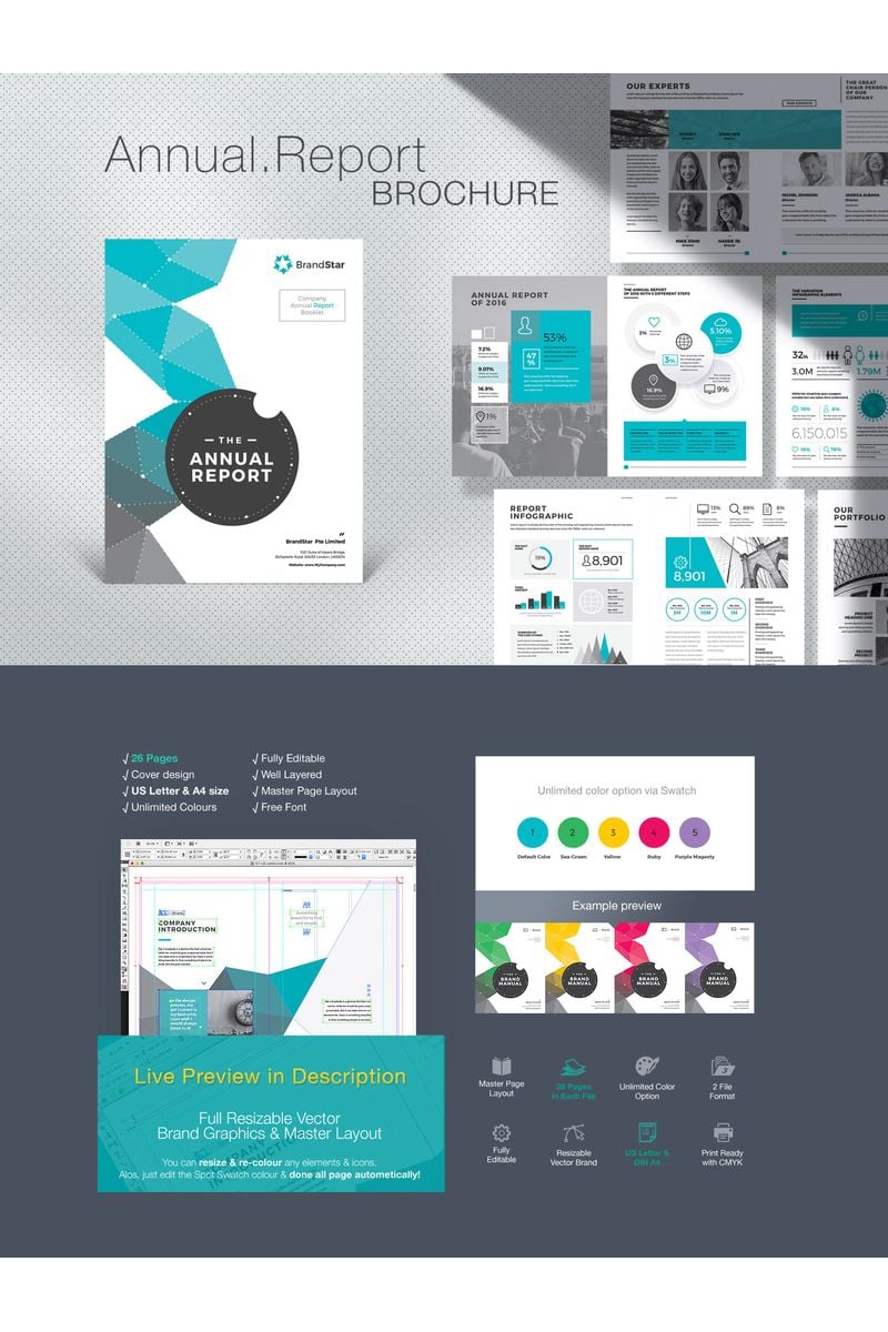 Annual Report Brochure Design - Blue and White