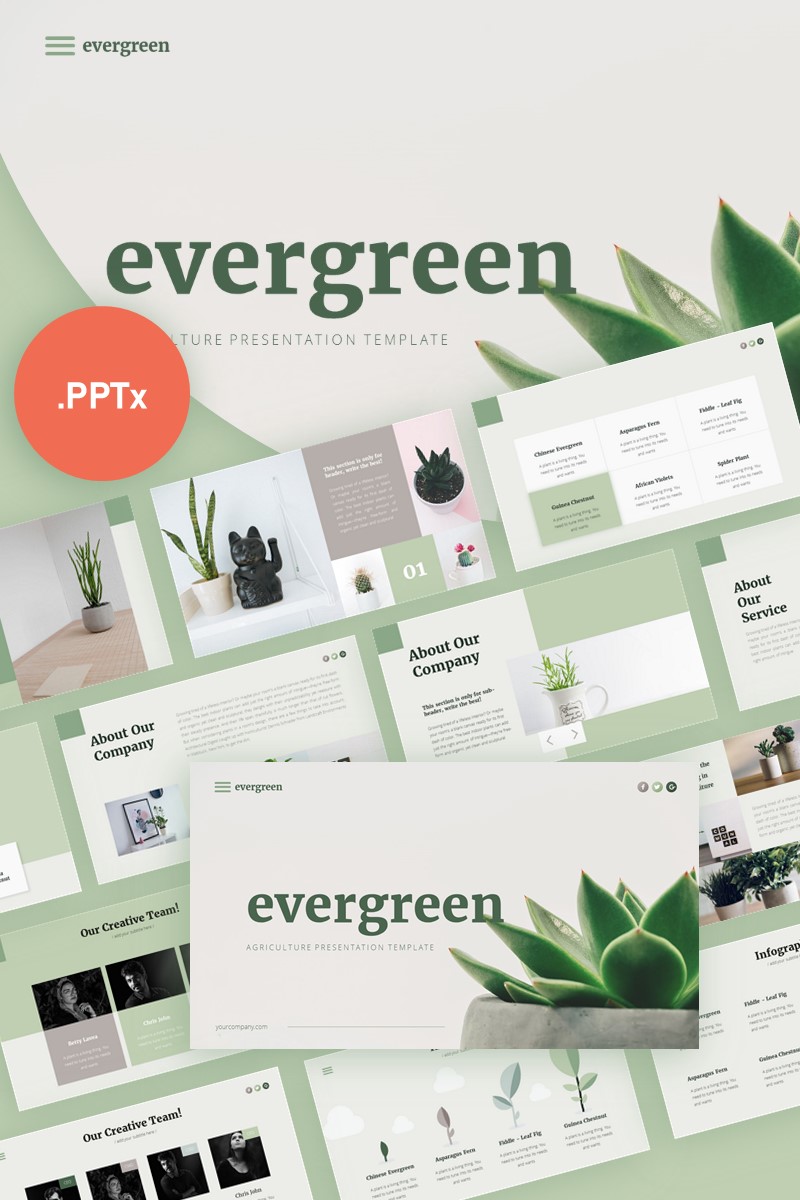 Evergreen Minimalist Presentation PowerPoint template