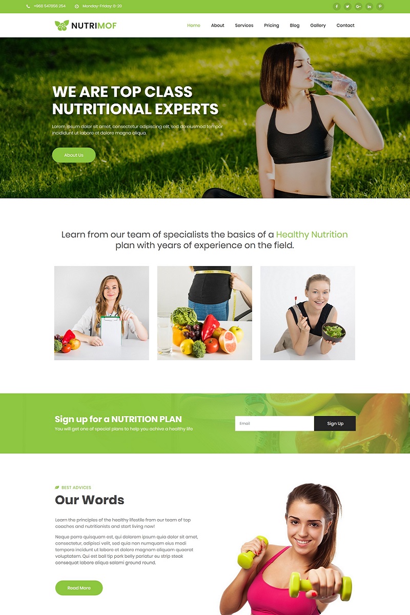 Nutrimof - Nutritional & Health WordPress Theme